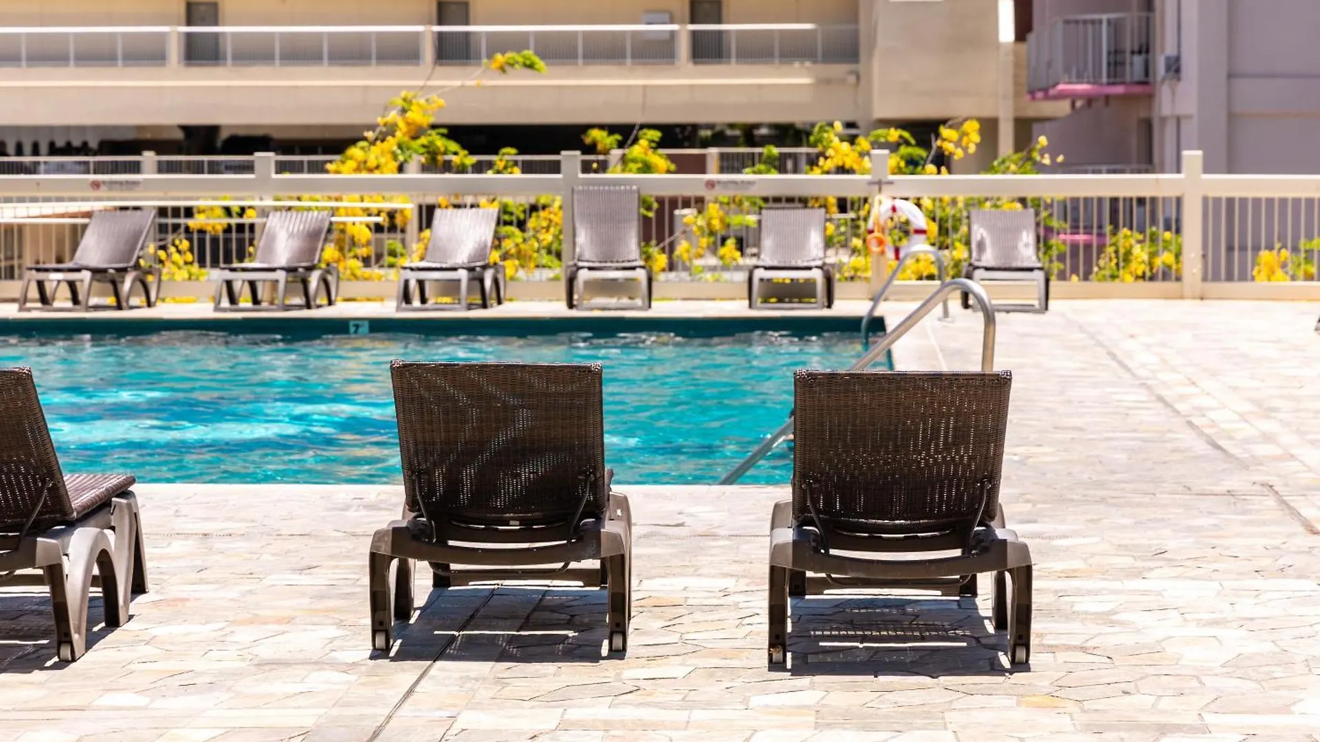 Stylish Island Colony Studio With Pool & Near Waikiki Beach! 호놀룰루 아파트